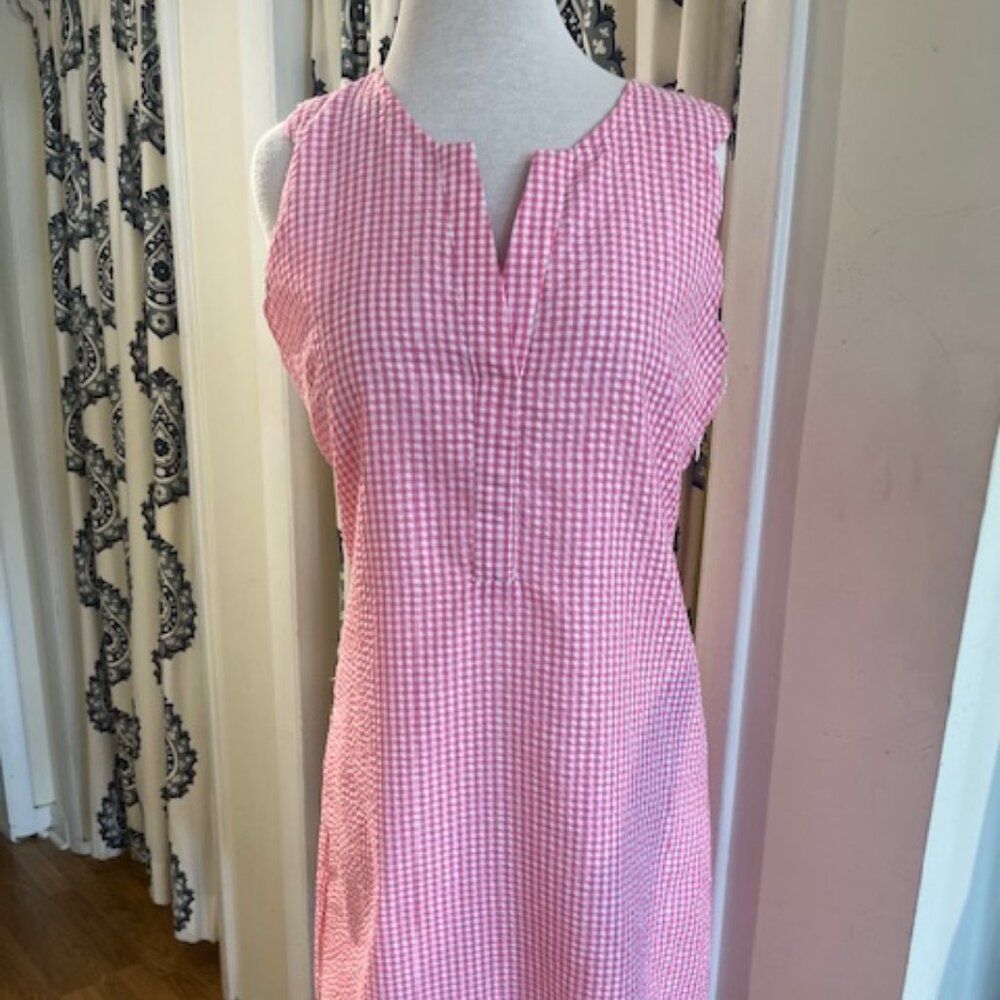 Duffield Lane Cassidy Shift Dress: Raspberry Gingham